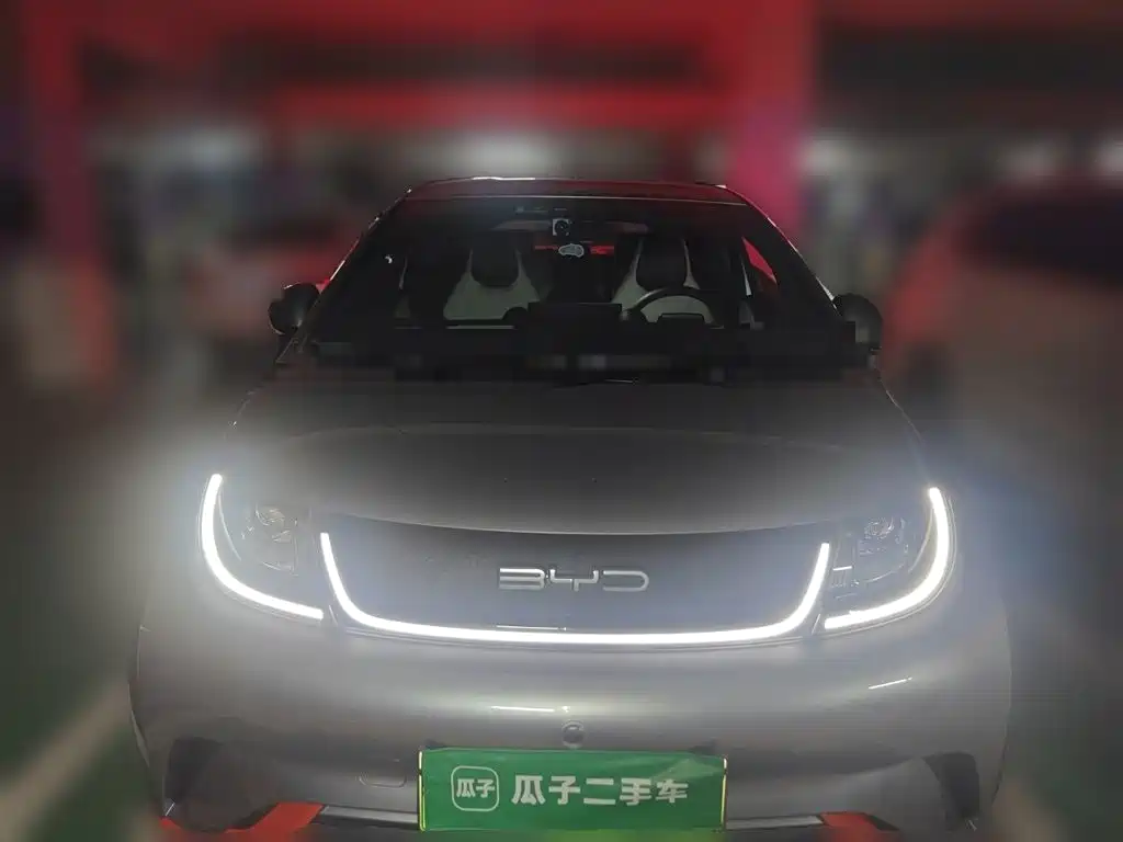 Фото 2 - BYD Dolphin