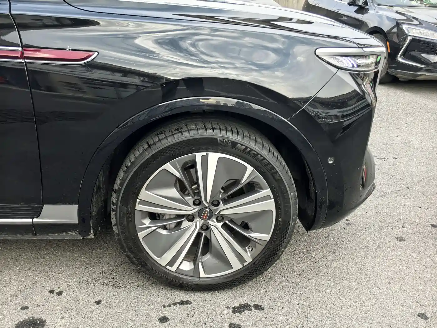Hongqi E-HS9 2022 660km Qi Chang Edition (6-seater) фото 7