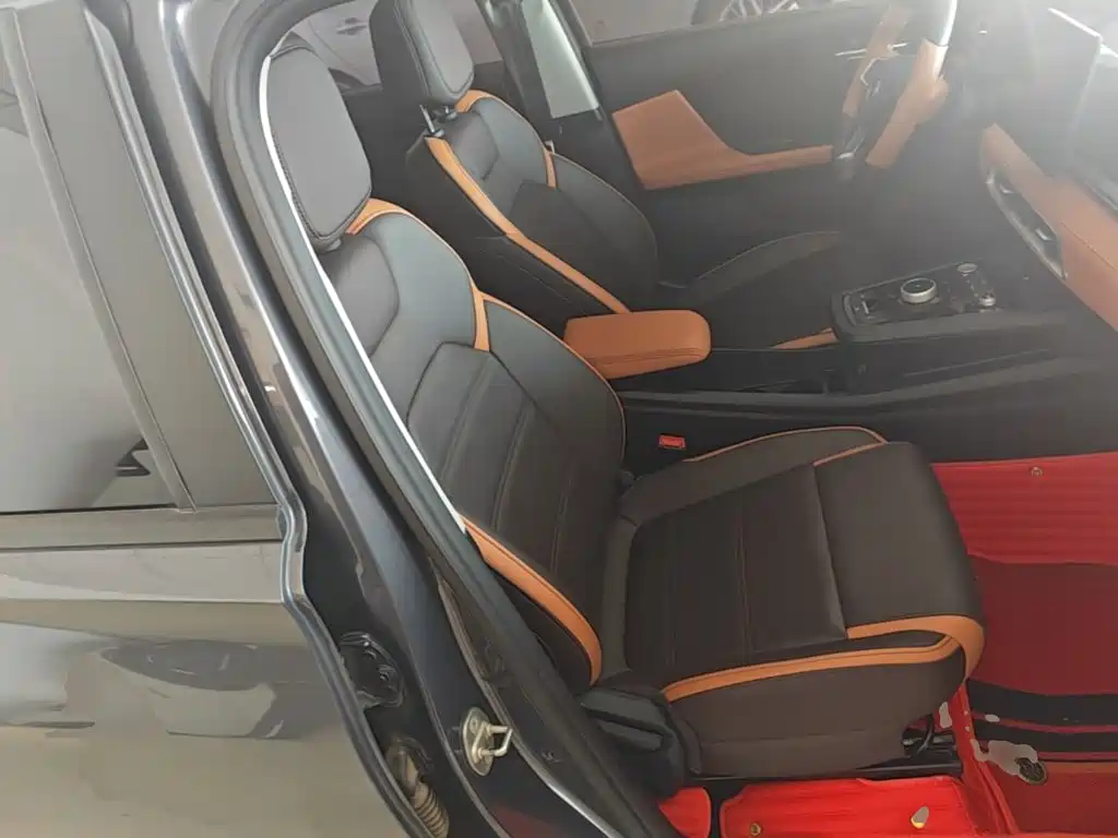 BYD e2 2021 2021 Luxury Edition