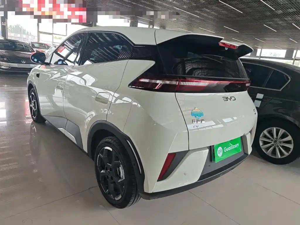 BYD Seagull 2025 Smart Drive Edition 305km Freedom Version фото 23