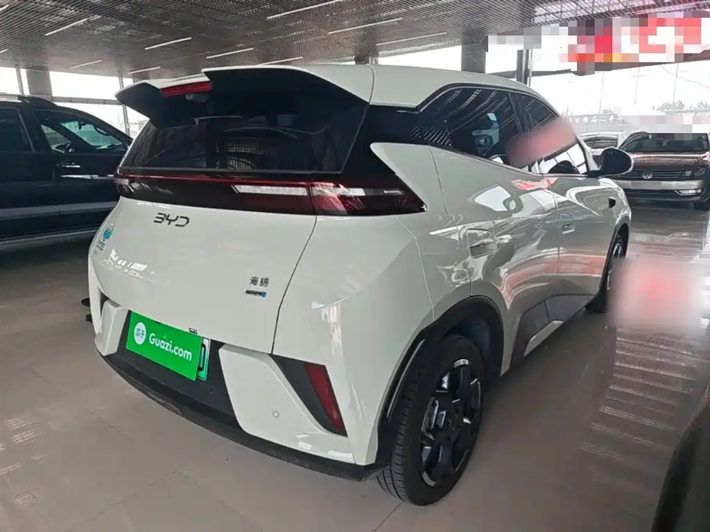 BYD Seagull 2025 Smart Drive Edition 305km Freedom Version фото 5