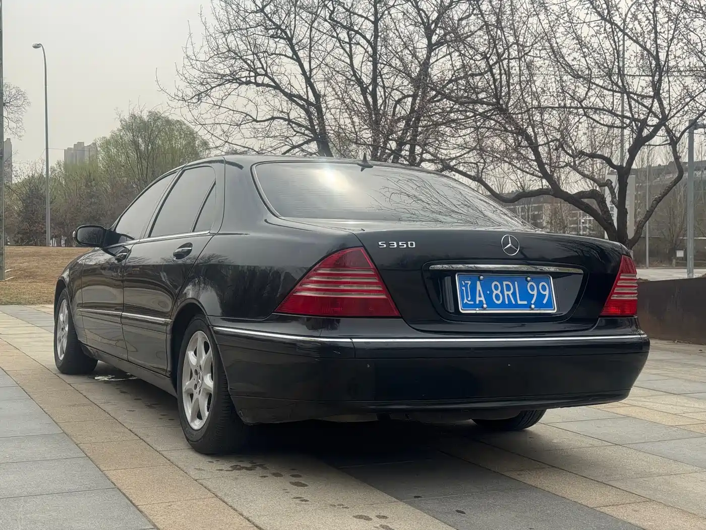 Mercedes-Benz S-Class 2004 S 350 фото 11