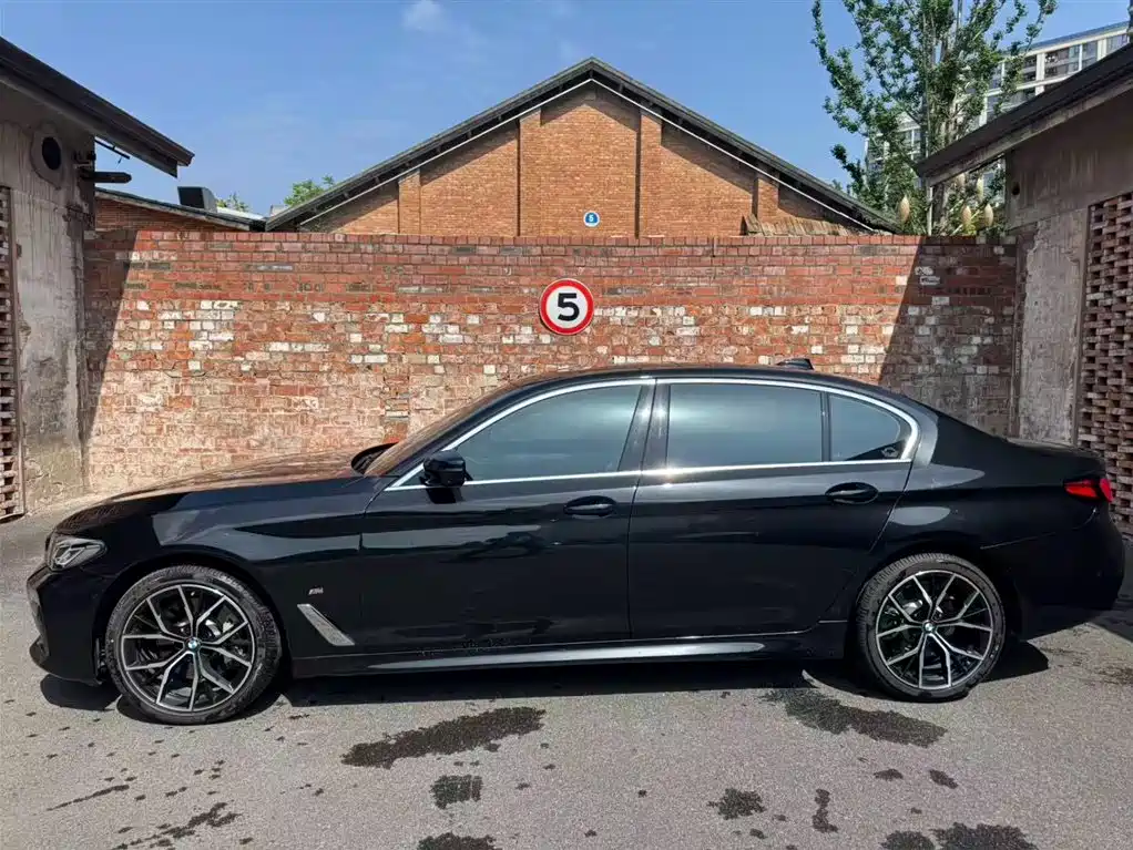 BMW 5 Series 2021 530Li Premium M Sport Package фото 2