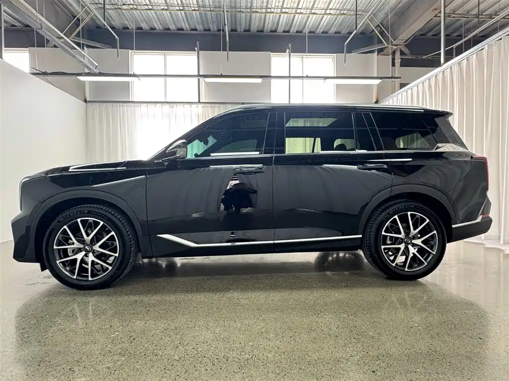 GAC Trumpchi Trumpchi GS8 2025 Pilot Series 2.0TGDI 2WD Luxury Edition 5-seater фото 6