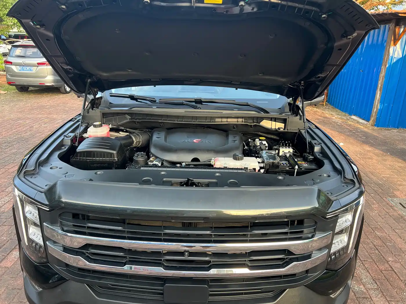 Foton Mars 2025 2024 Mars 7 2.0T Diesel Automatic 2WD Long Wheelbase Voyage Edition
