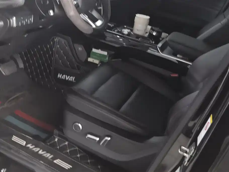 Haval Big Dog 2021 1.5T DCT 2WD Border Collie - Wangcai Edition фото 9