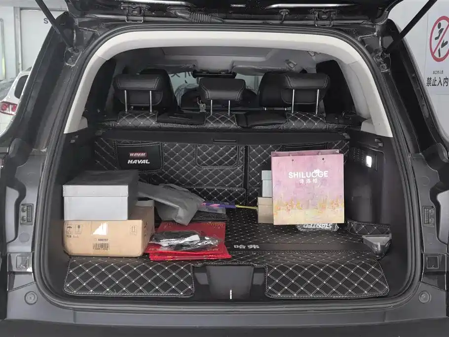 Haval Big Dog 2021 1.5T DCT 2WD Border Collie - Wangcai Edition фото 4