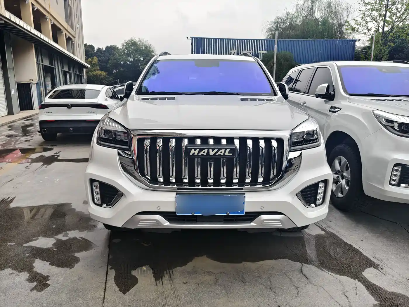 HAVAL H9