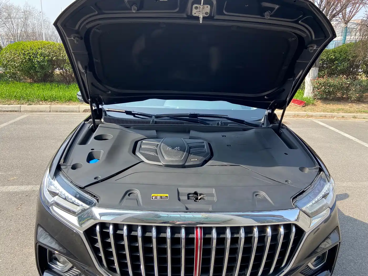 Hongqi HS5 2019 2.0T Smart Connect Enjoy Edition фото 19