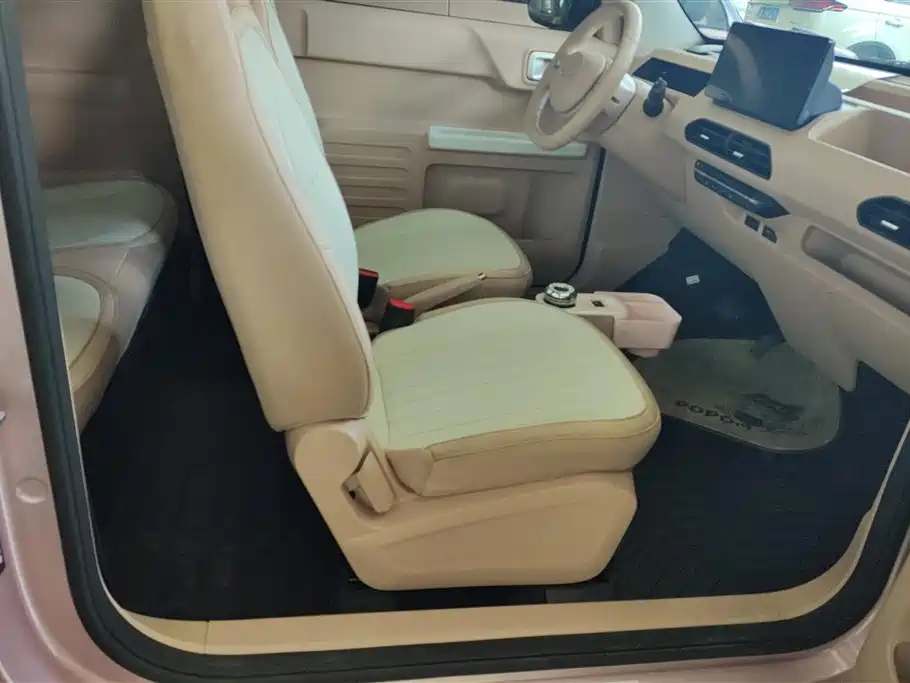 Geely Galaxy Panda 2024 Panda mini 200km Endurance Bear фото 8