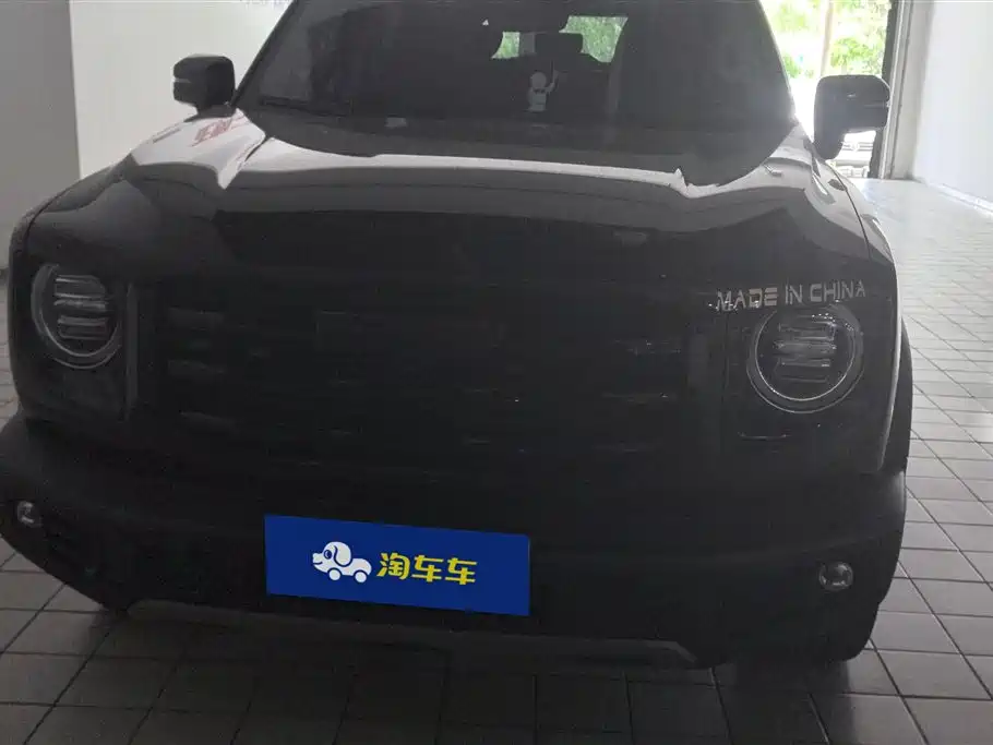 Haval Big Dog 2021 1.5T DCT 2WD Border Collie - Wangcai Edition фото 2