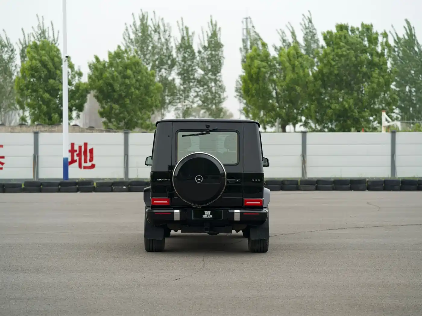 Mercedes-Benz G-Class 2017 Model G 350 d фото 10