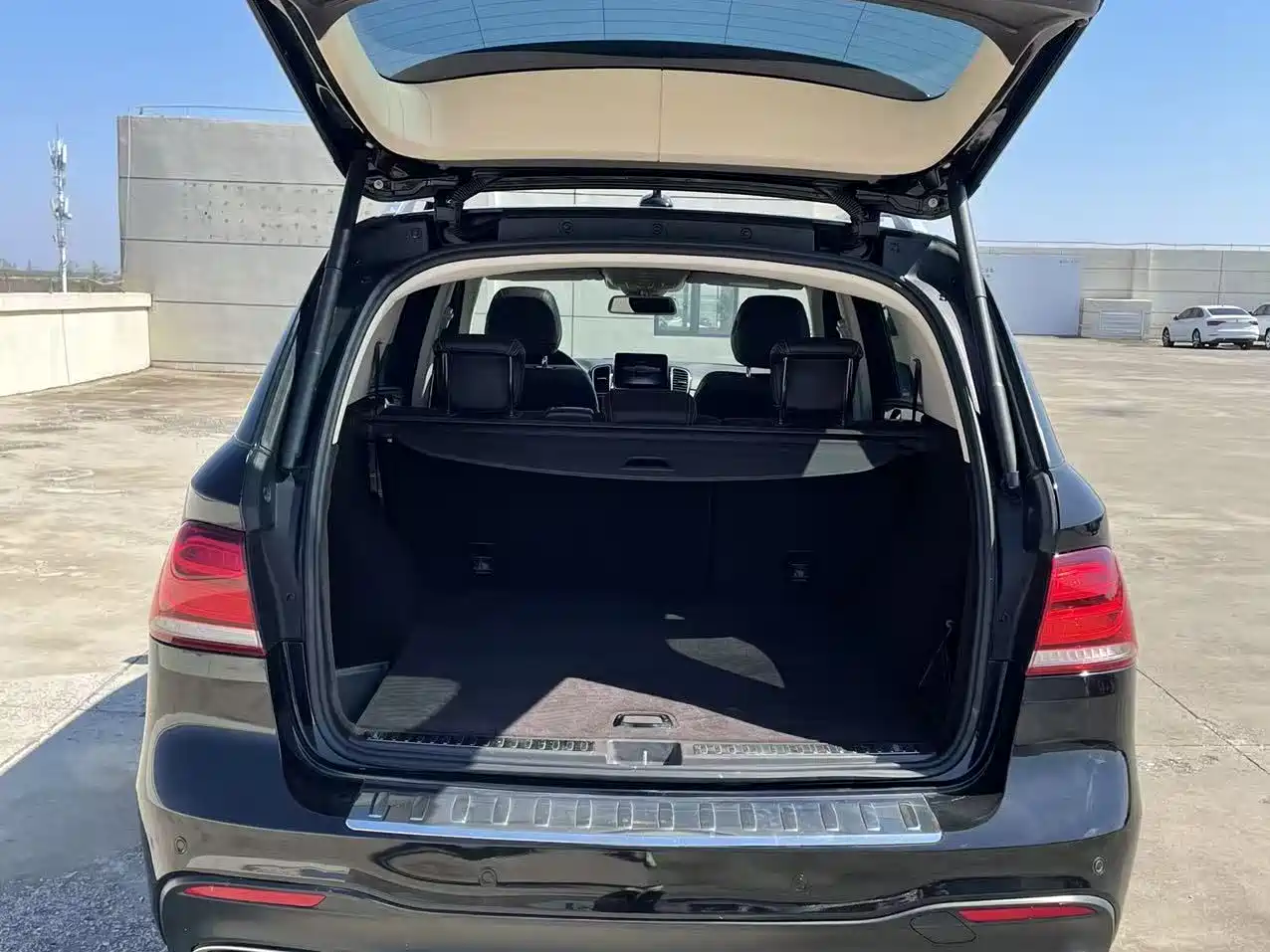 Mercedes-Benz GLE 2017 GLE 320 4MATIC Dynamic фото 13