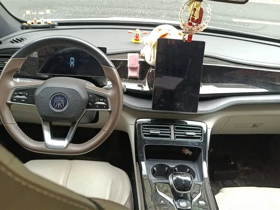 BYD Qin PLUS 2023 Champion Edition DM-i 55KM Leading фото 12