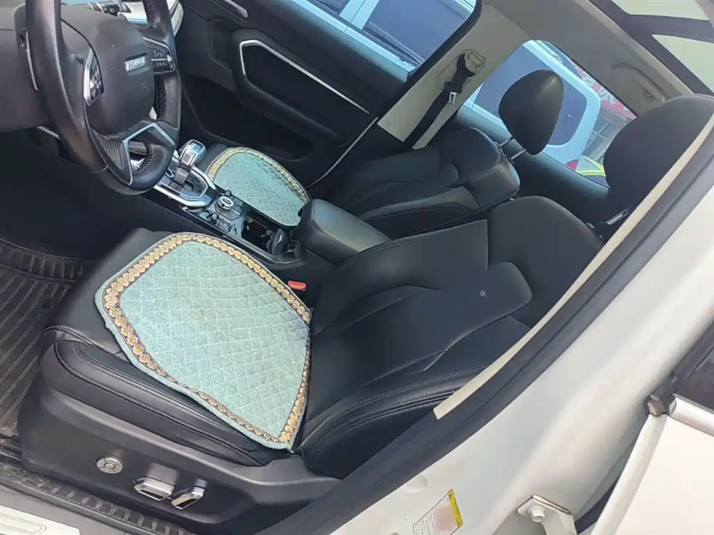 Haval H6 2017 Blue Label 2.0T Automatic 2WD Smart Edition фото 15