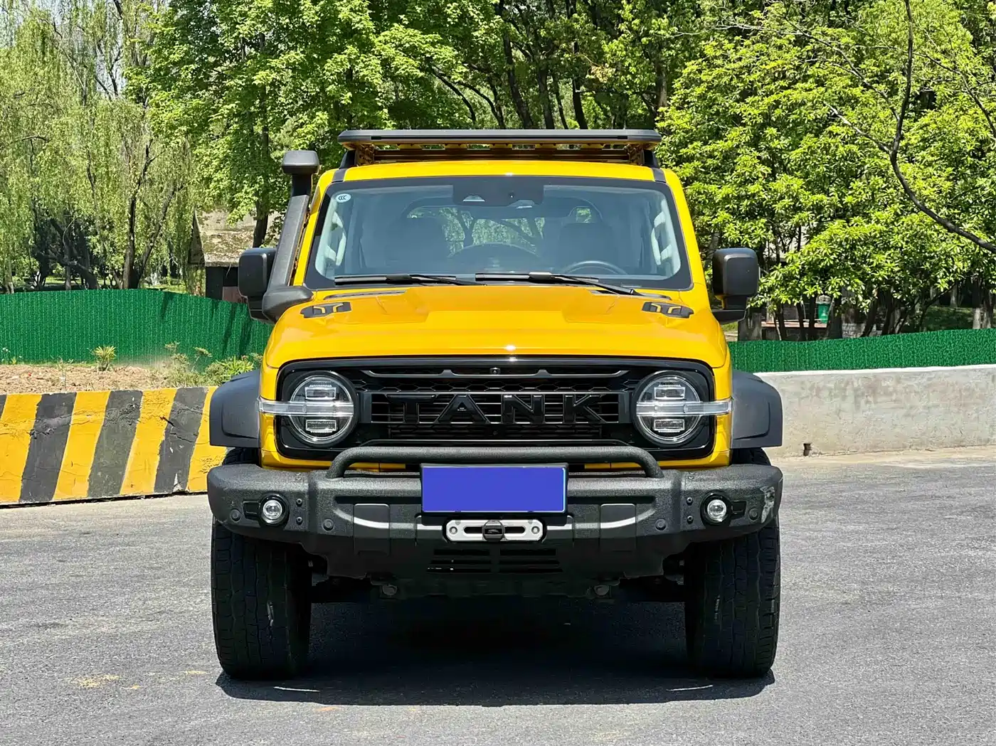 TANK 300