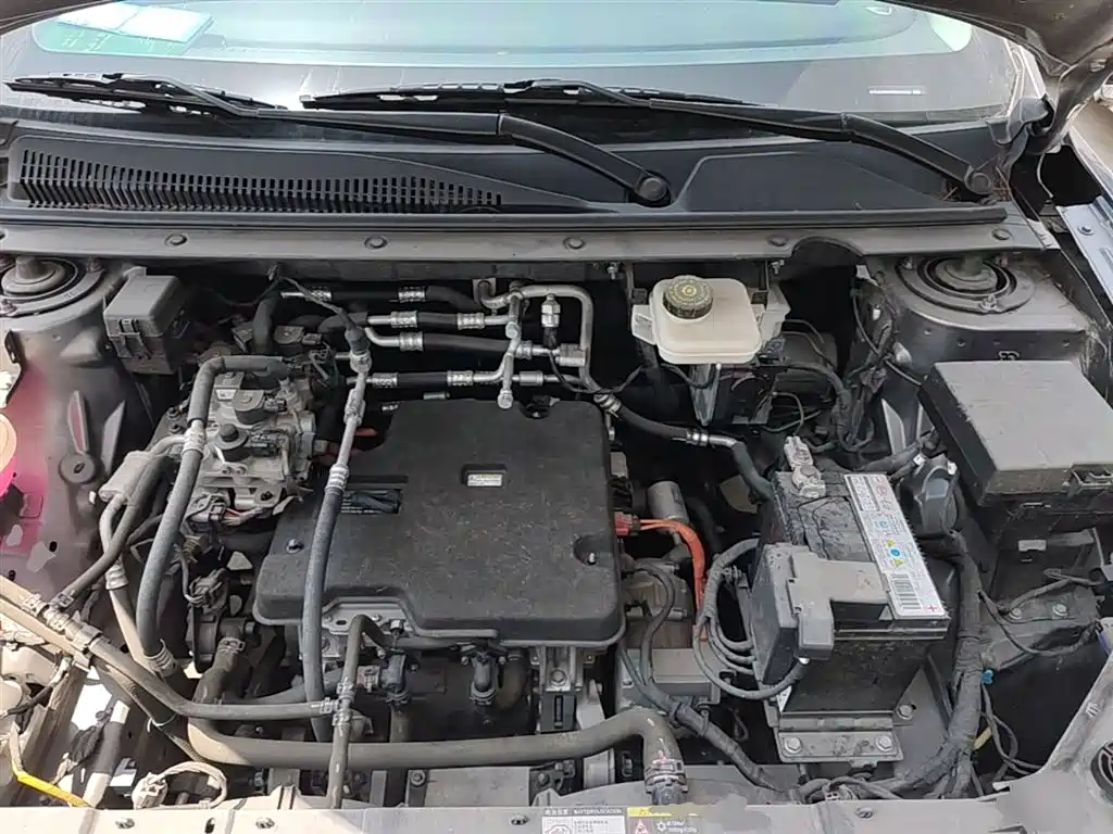 BYD E2