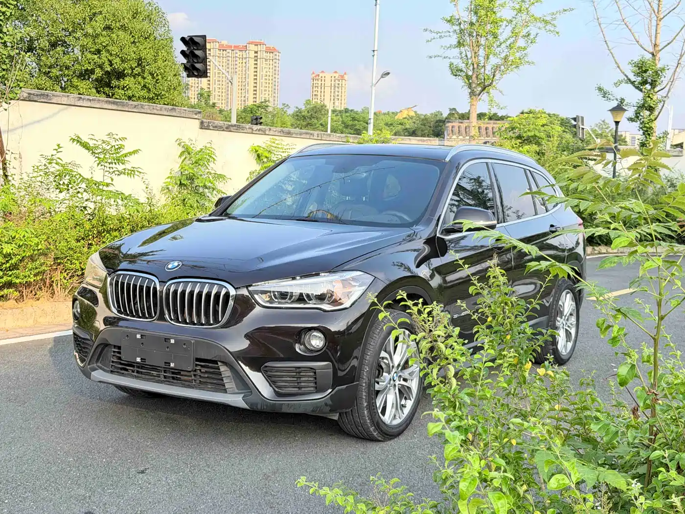 BMW X1 2018 sDrive20Li Leading Model
