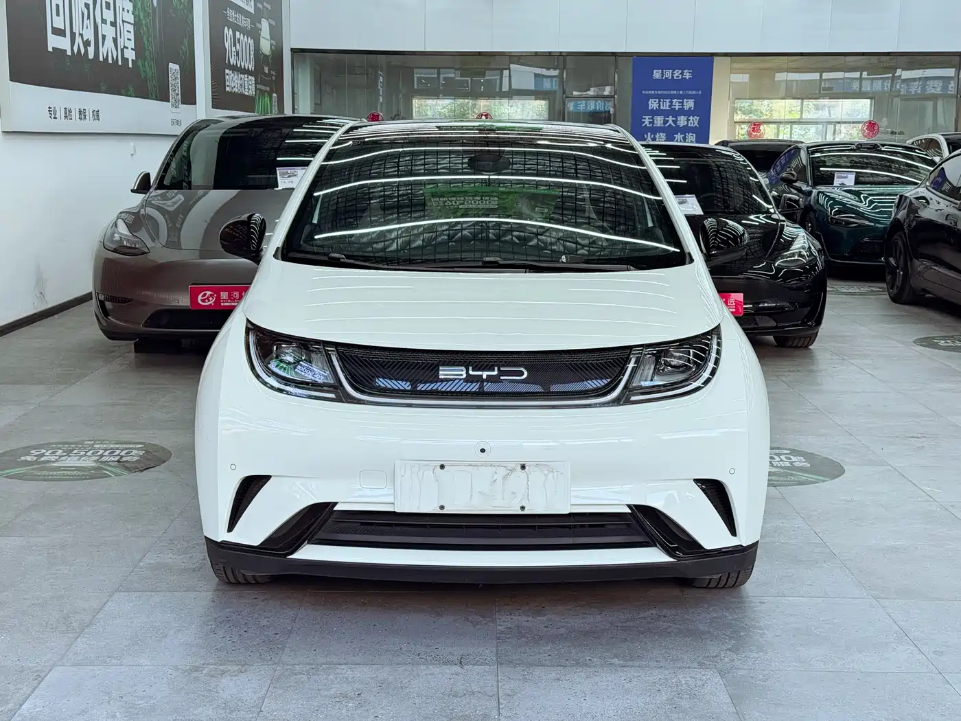 BYD Dolphin 2024 Glory Edition 420km Fashion Edition фото 2