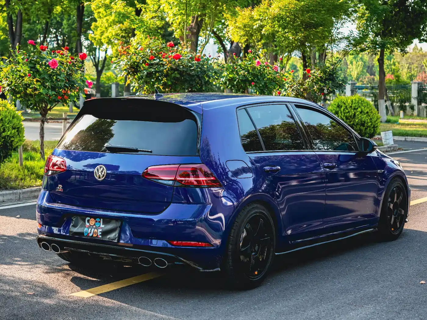 Volkswagen Golf (Import) 2017 2.0TSI R фото 5