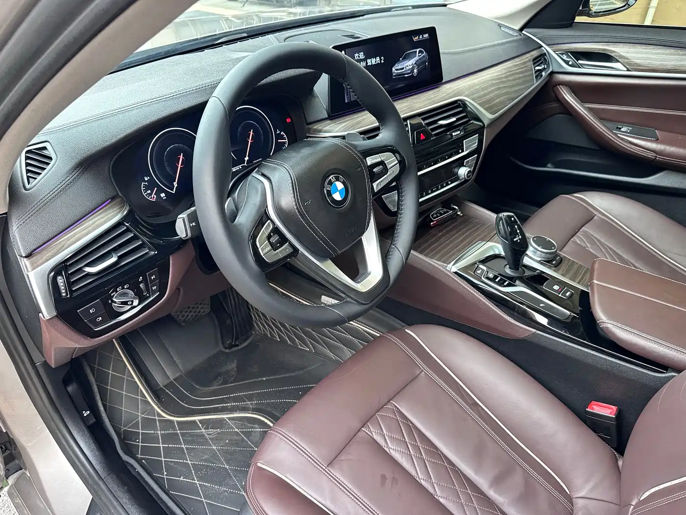 BMW 5 Series 2019 530Li Leading Luxury Package фото 5