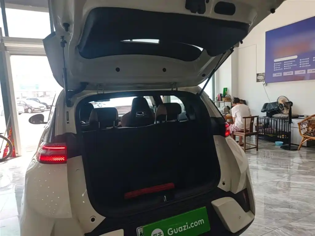 BYD Seagull 2025 Smart Drive Edition 305km Vitality Version фото 19