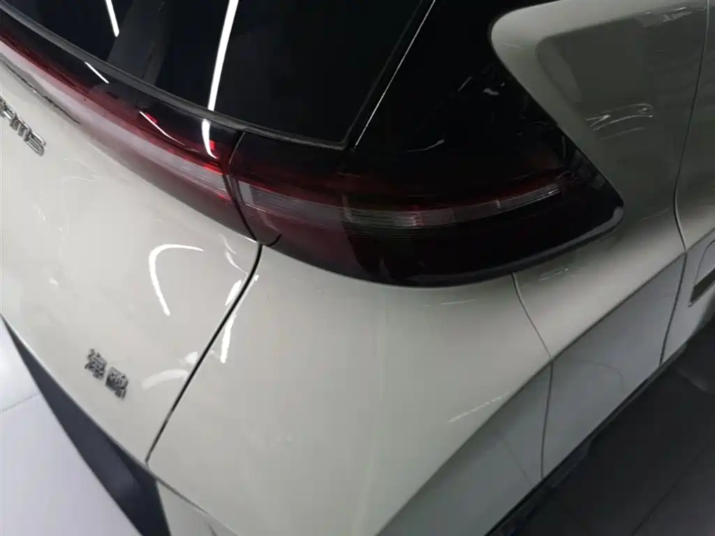 BYD Seagull 2023 Flying Edition фото 8