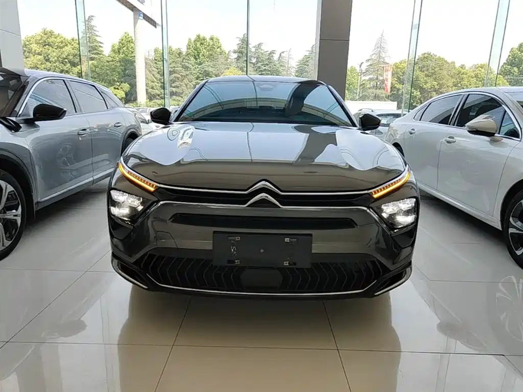 Фото 3 - Citroën Versailles C5 X