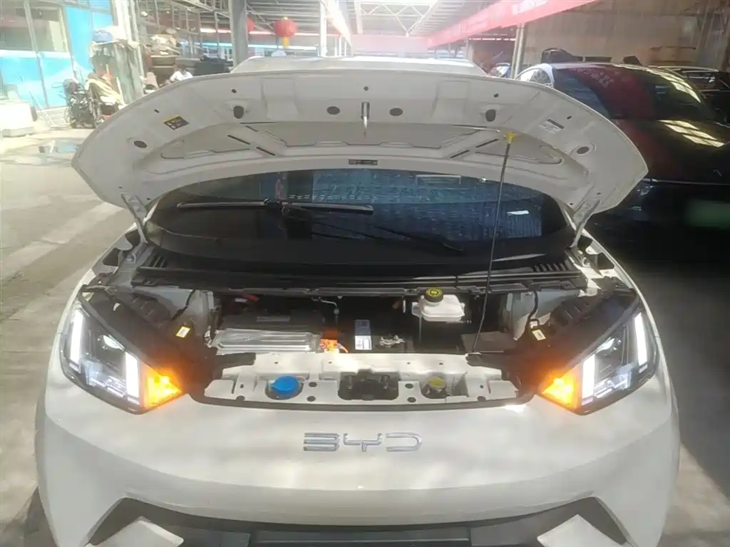 BYD Seagull 2023 Freedom Edition фото 20