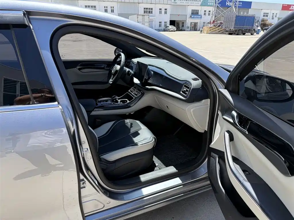 BYD Qin PLUS 2021 DM-i 55KM Flagship фото 15