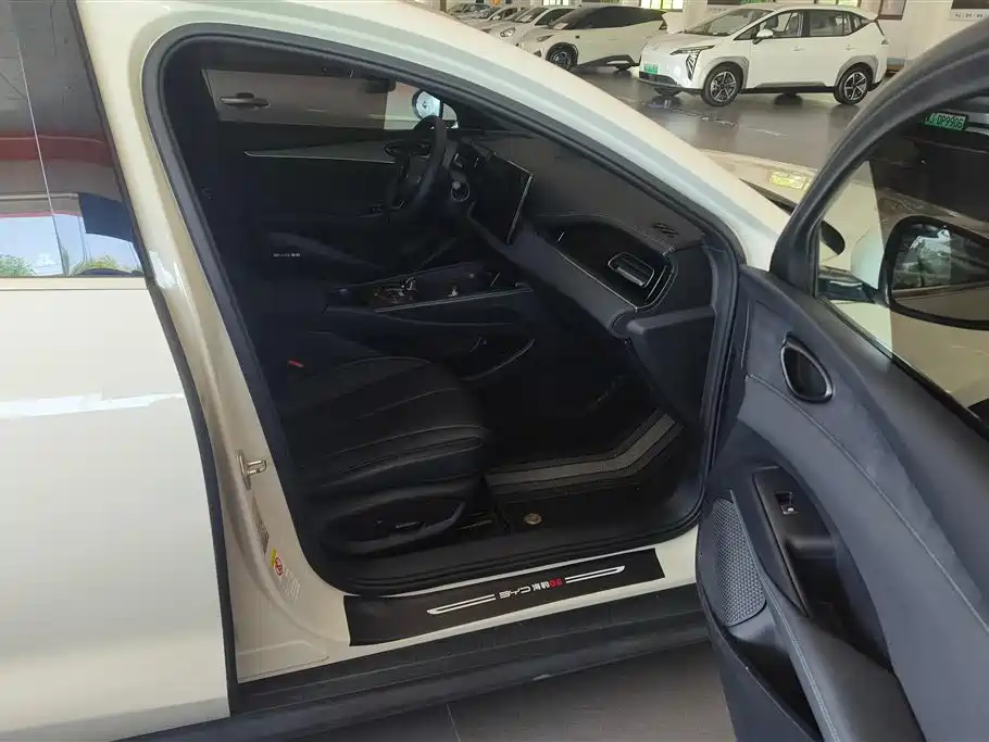 BYD Seal 06 New Energy 2024 DM-i 120KM Premium фото 8