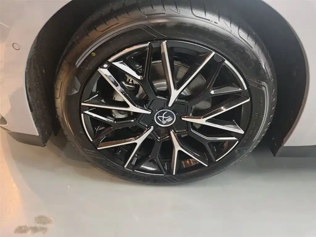 BYD Han 2025 DM-i Smart Drive Edition 125KM Premium фото 23