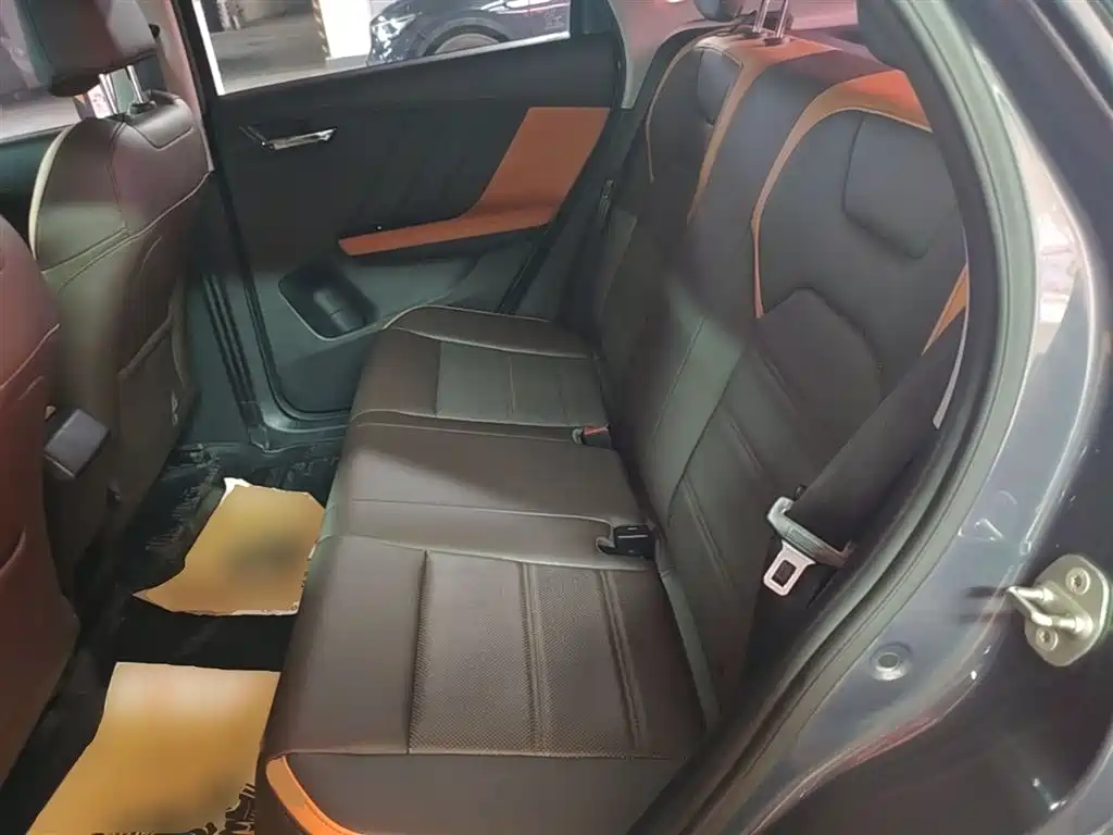 BYD e2 2021 Luxury Edition фото 17