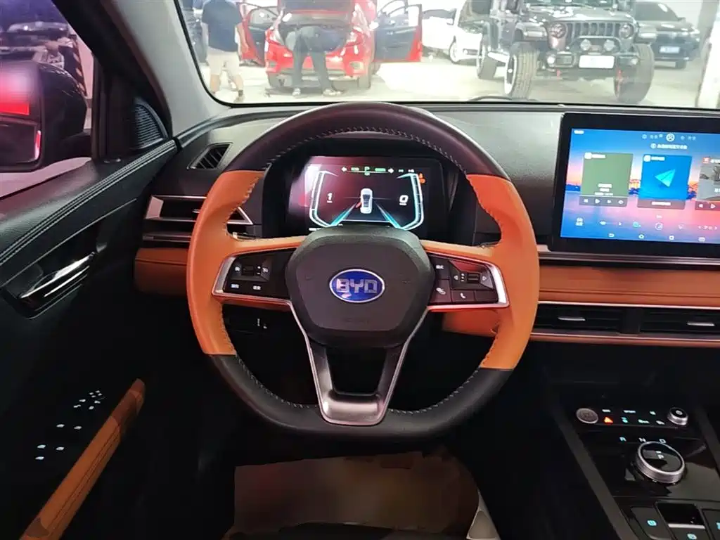 BYD e2 2021 Luxury Edition фото 11