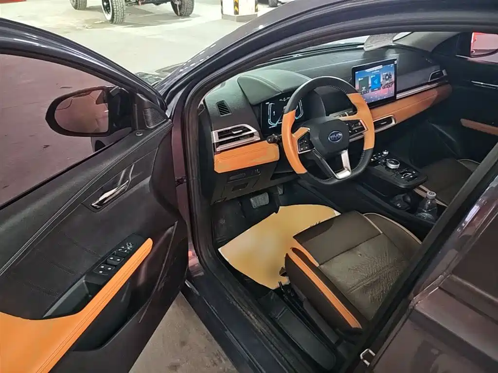 BYD e2 2021 Luxury Edition фото 16