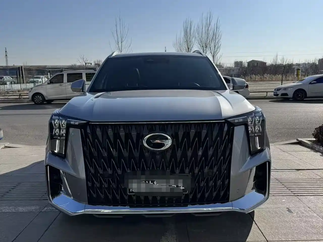 GAC Trumpchi Trumpchi GS8 2022 Dual Engine Series 2.0TM 2WD Premium Edition (7-Seater) фото 2