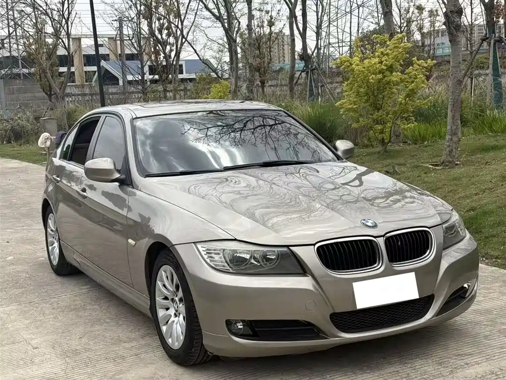 BMW 3 Series 2010 318i Progressive фото 3