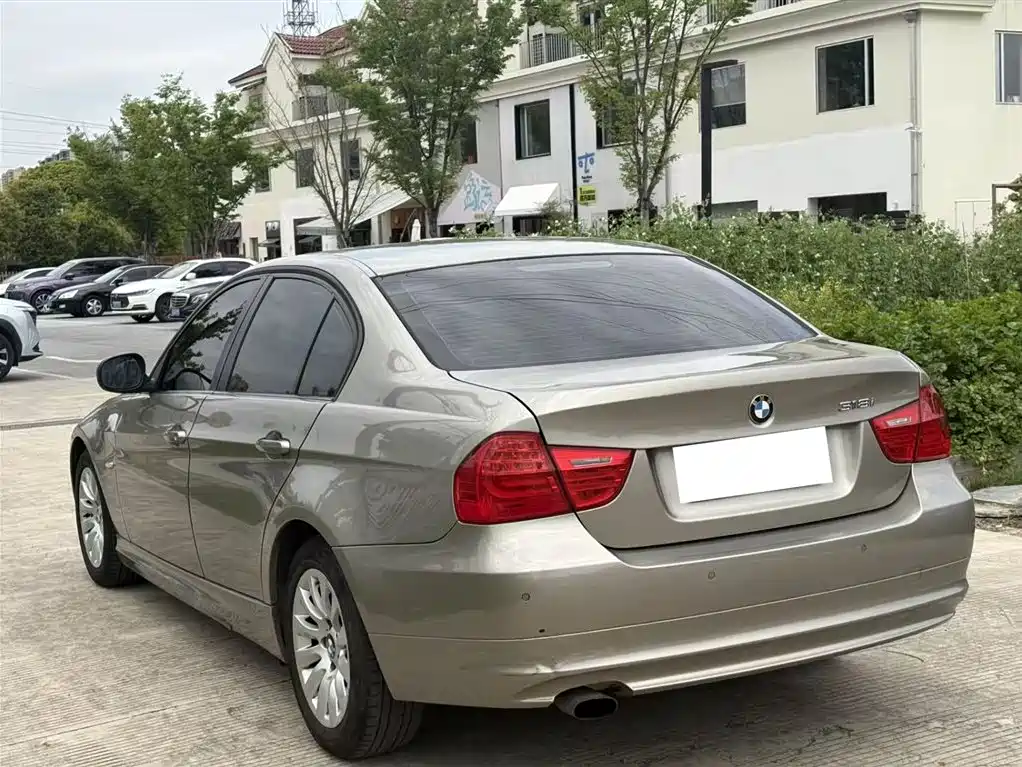 BMW 3 Series 2010 318i Progressive фото 11