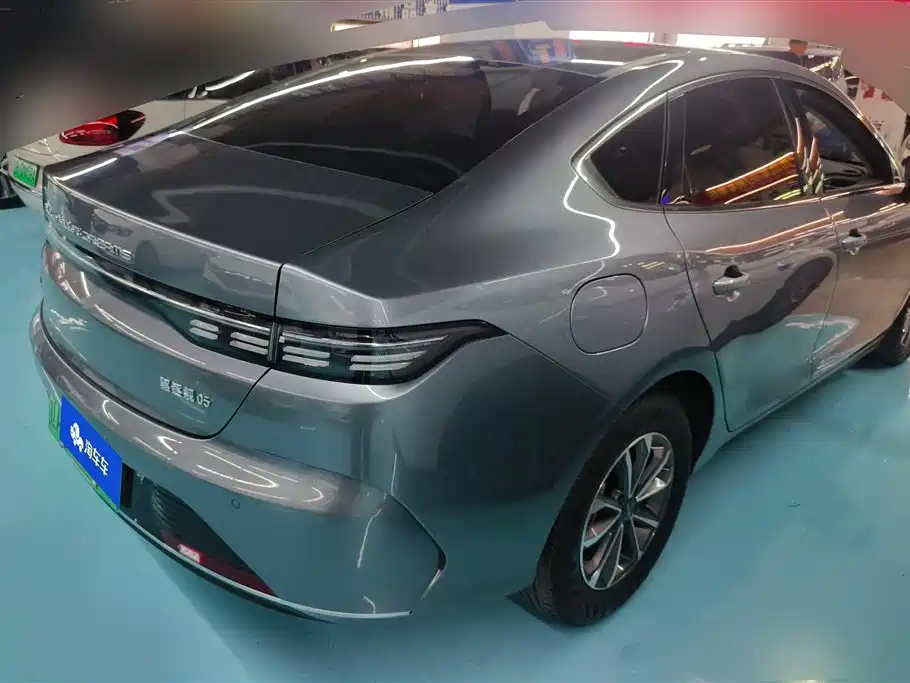 BYD Destroyer 05 2024 Glory Edition DM-i 55KM Luxury фото 3
