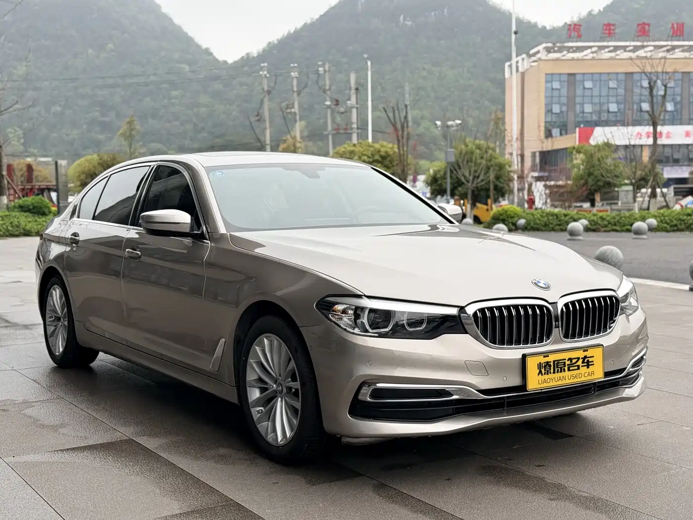 BMW 5 Series 2020 525Li Luxury Package фото 3