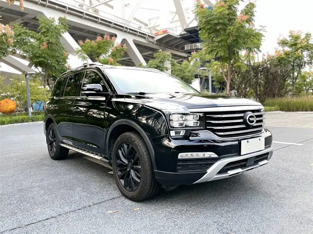 GAC Trumpchi Trumpchi GS8 2017 320T 2WD Luxury Smart Connect (7-seater) фото 3