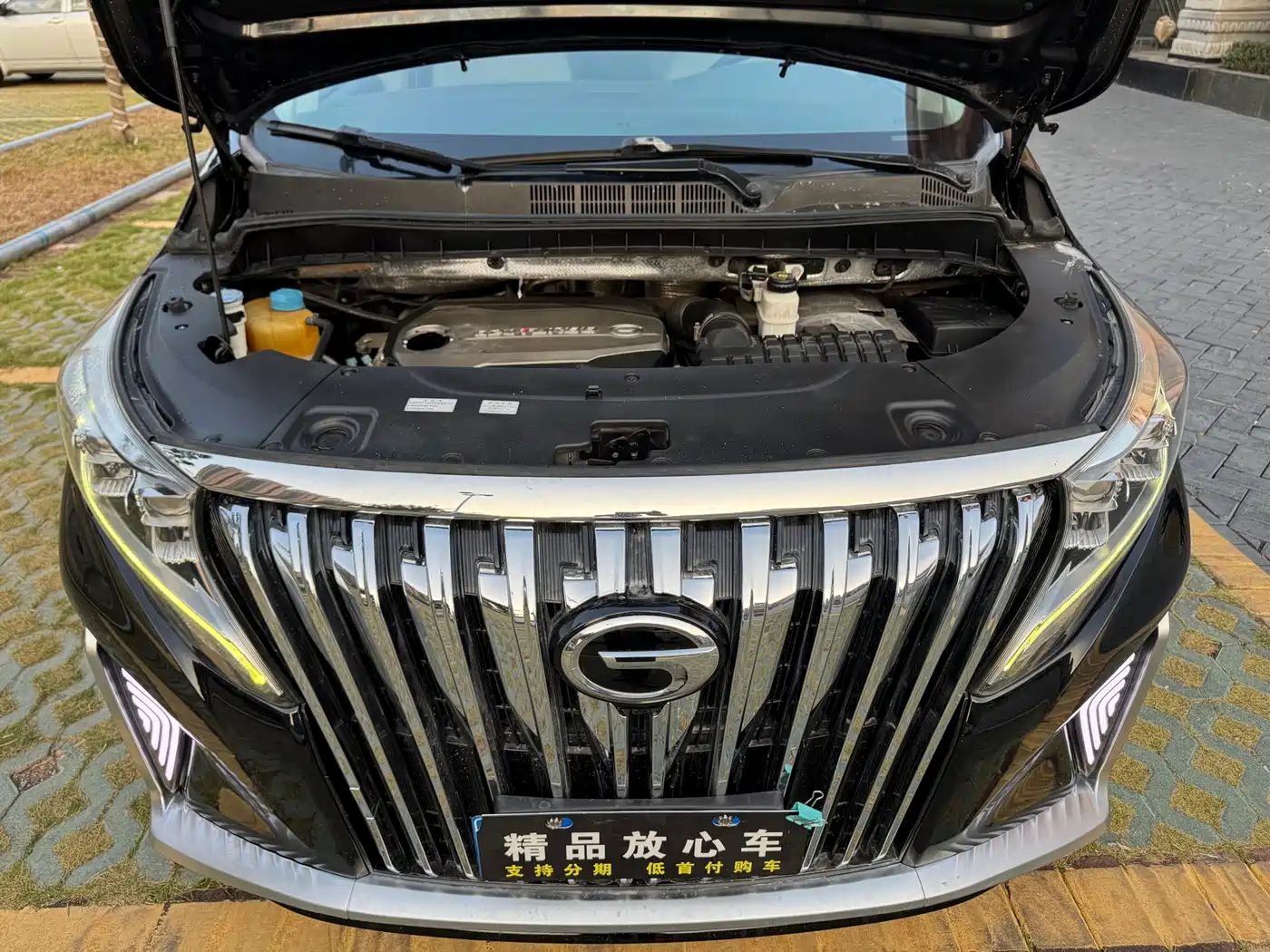 GAC Trumpchi Trumpchi M8 2018 320T Premium Edition фото 22