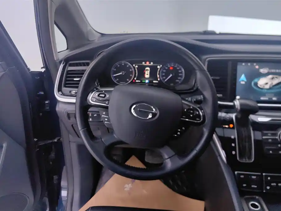 GAC Trumpchi Trumpchi M8 2020 Pilot 390T Premium Edition фото 15