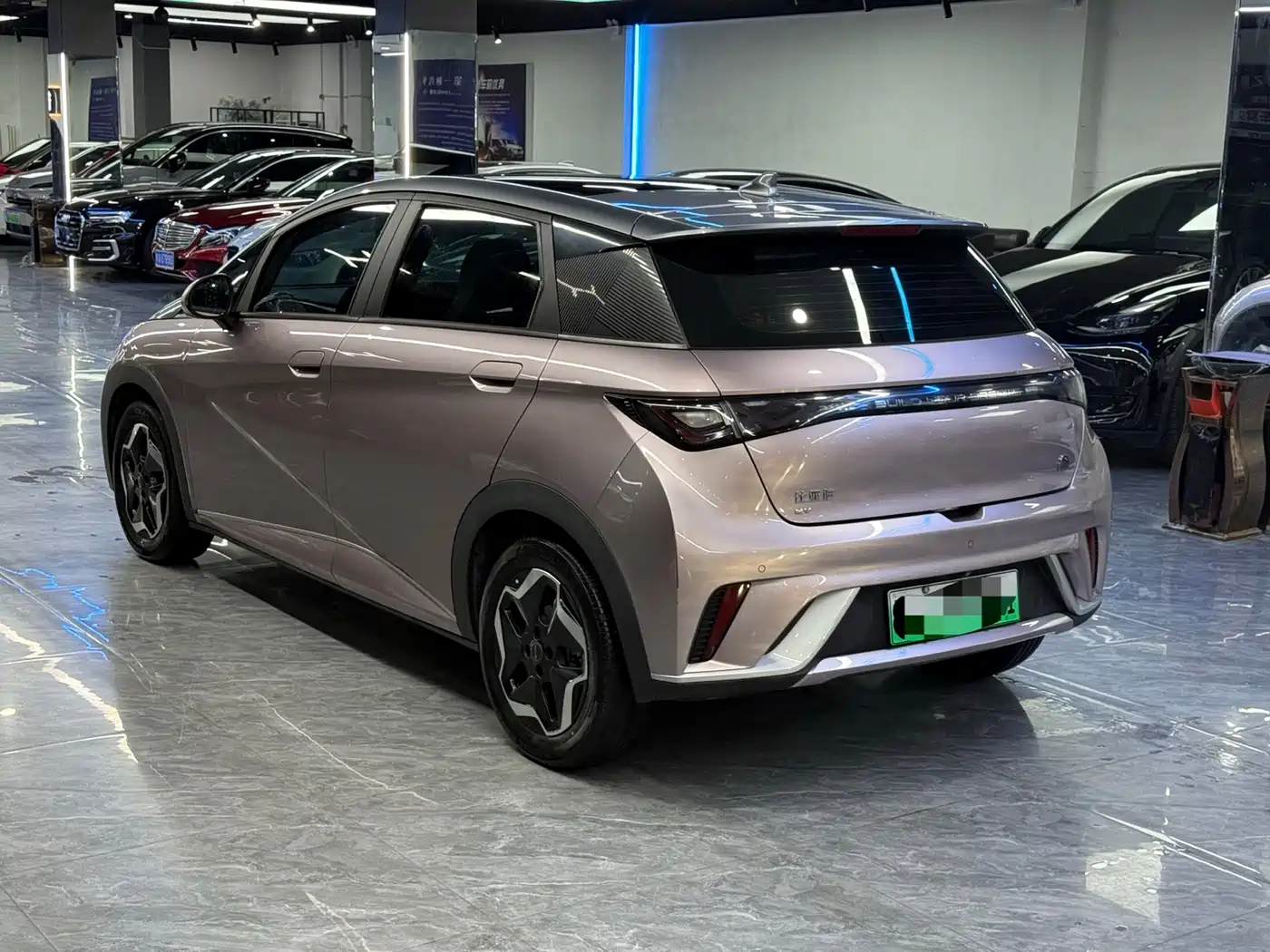 BYD Dolphin 2021 Model 405km Fashion Edition фото 11