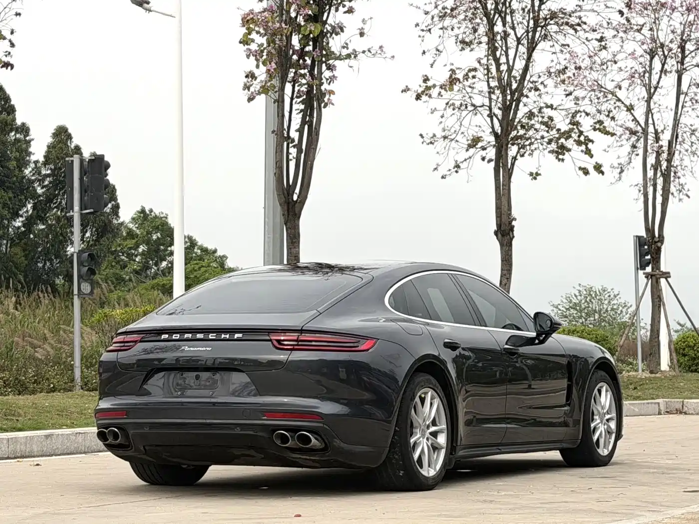 Porsche Panamera 2019 Panamera 2.9T фото 7