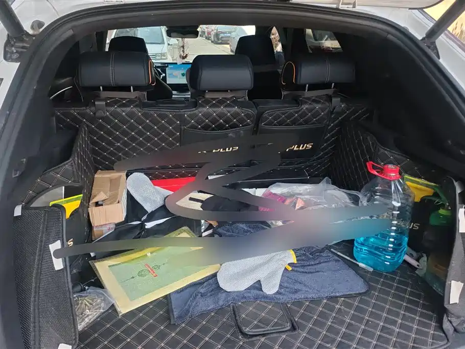 BYD Song PLUS PHEV 2021 DM-i 110KM Flagship PLUS фото 4