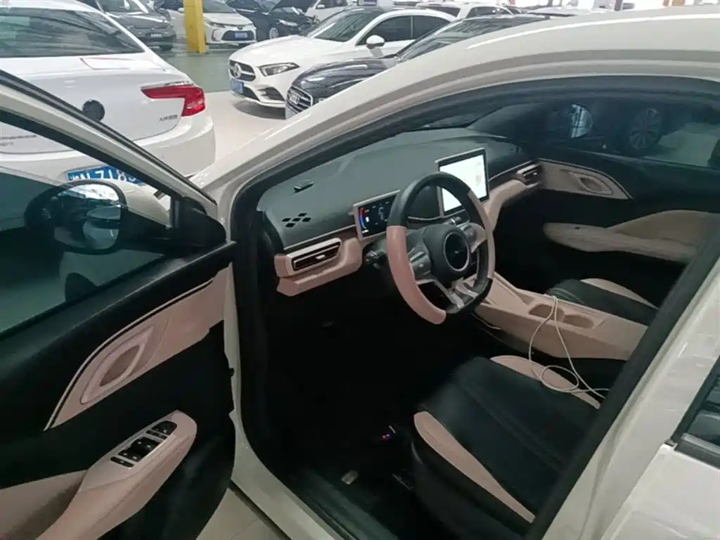 BYD Seagull 2024 Glory Edition 305km Vitality Edition фото 16