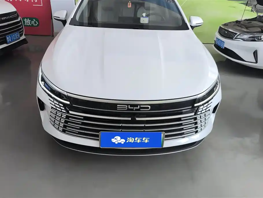 BYD Destroyer 05 2024 Glory Edition DM-i 55KM Luxury фото 2
