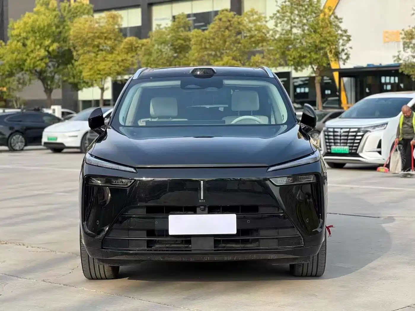 WEI PAI WEI BRAND BLUE MOUNTAIN