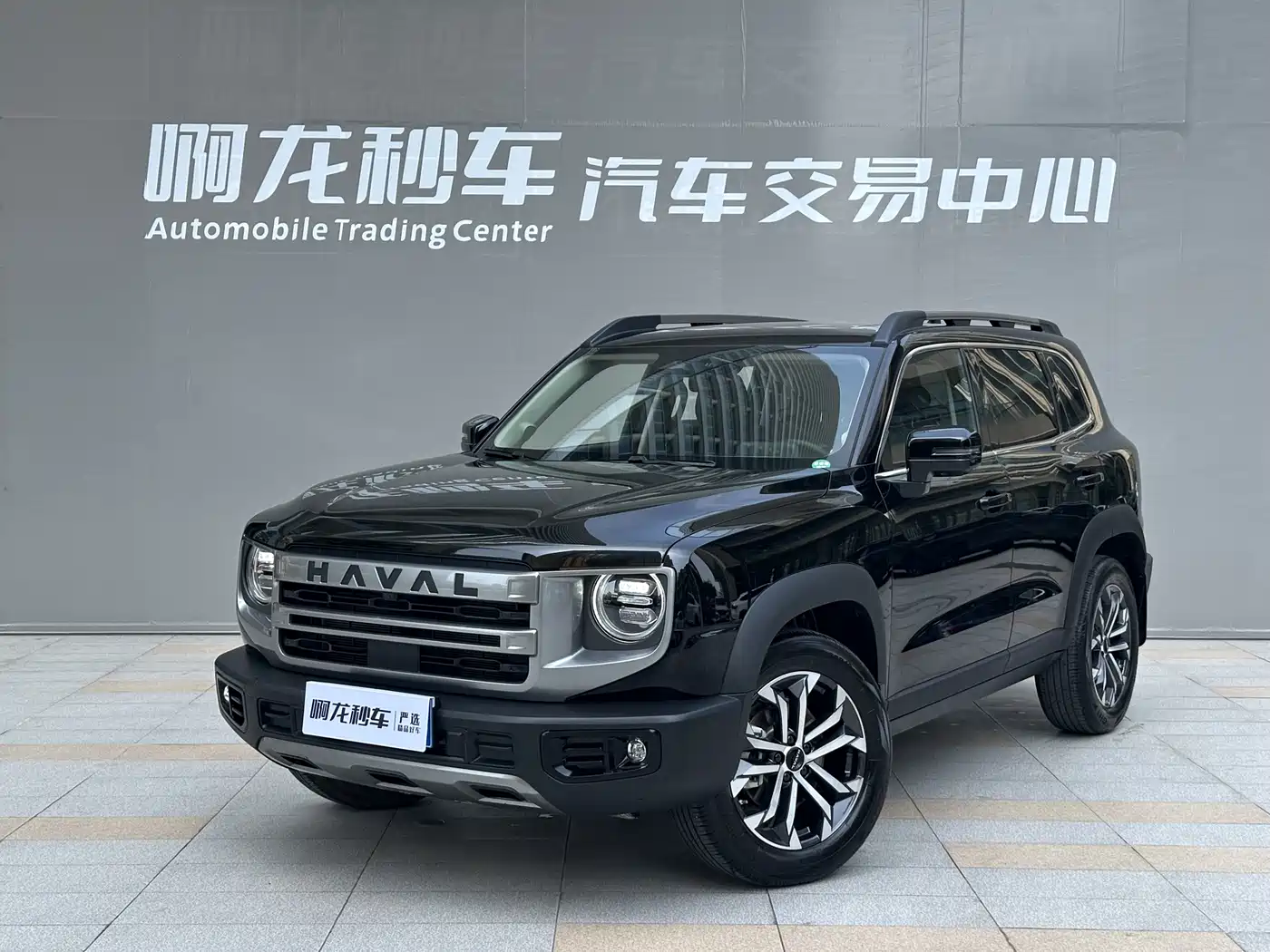 HAVAL BIG DOG 2025